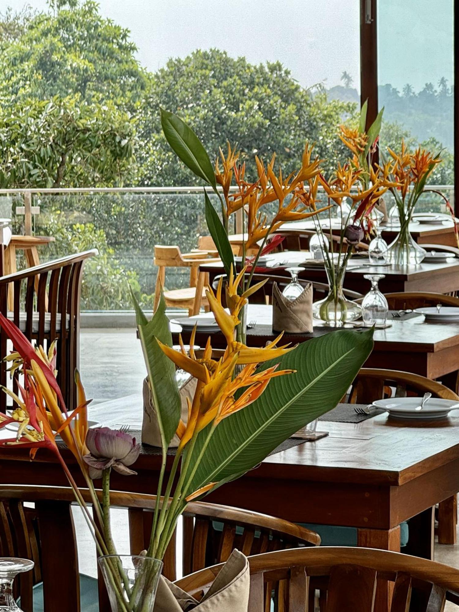 Coastline Mirissa Boutique Hotel And Spa Экстерьер фото